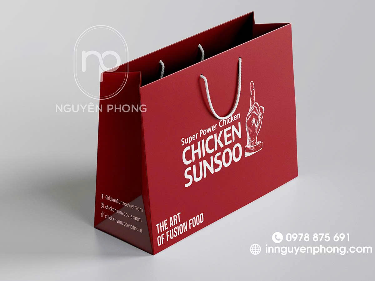 Mẫu túi giấy Duplex